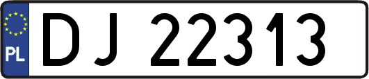 DJ22313