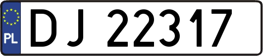DJ22317