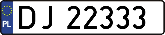 DJ22333