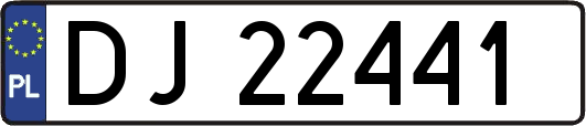 DJ22441