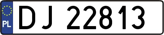 DJ22813