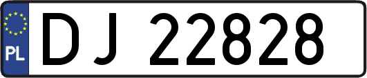 DJ22828