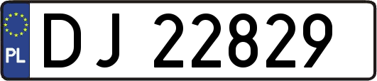 DJ22829