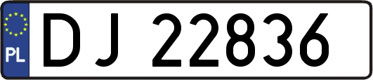 DJ22836