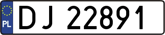 DJ22891