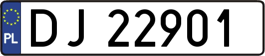 DJ22901