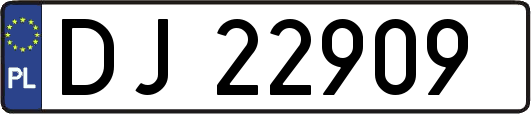 DJ22909