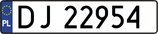 DJ22954