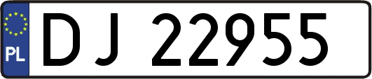 DJ22955