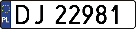 DJ22981
