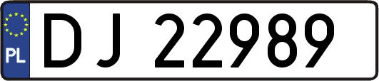 DJ22989