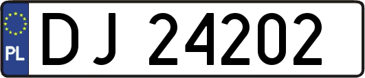 DJ24202