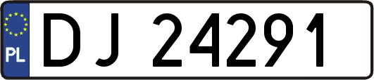 DJ24291