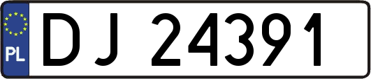 DJ24391