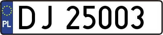 DJ25003