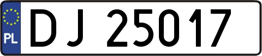 DJ25017