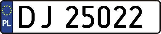 DJ25022