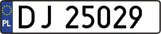 DJ25029