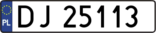 DJ25113