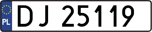 DJ25119