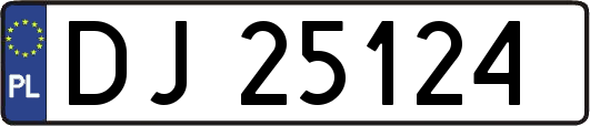 DJ25124