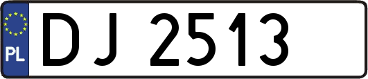 DJ2513