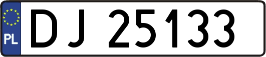 DJ25133