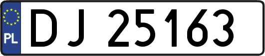 DJ25163
