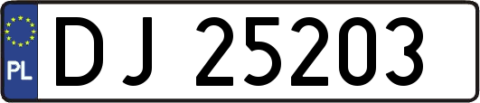 DJ25203
