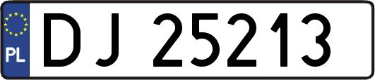DJ25213