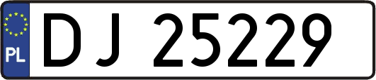 DJ25229