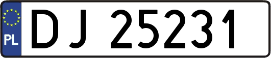 DJ25231