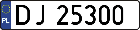 DJ25300