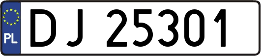 DJ25301