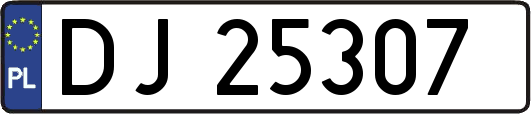 DJ25307