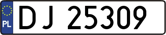 DJ25309