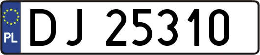 DJ25310