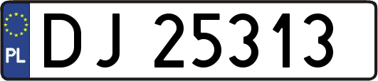 DJ25313