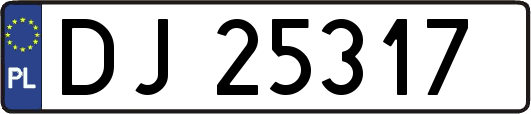 DJ25317