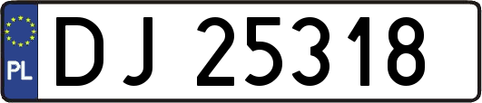 DJ25318