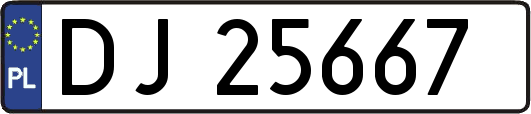 DJ25667
