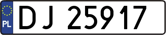 DJ25917