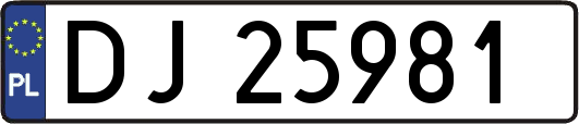 DJ25981