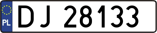 DJ28133