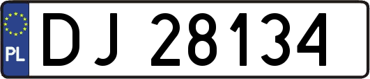 DJ28134