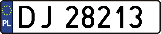 DJ28213