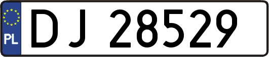DJ28529
