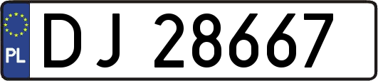 DJ28667