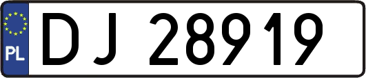 DJ28919