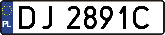 DJ2891C